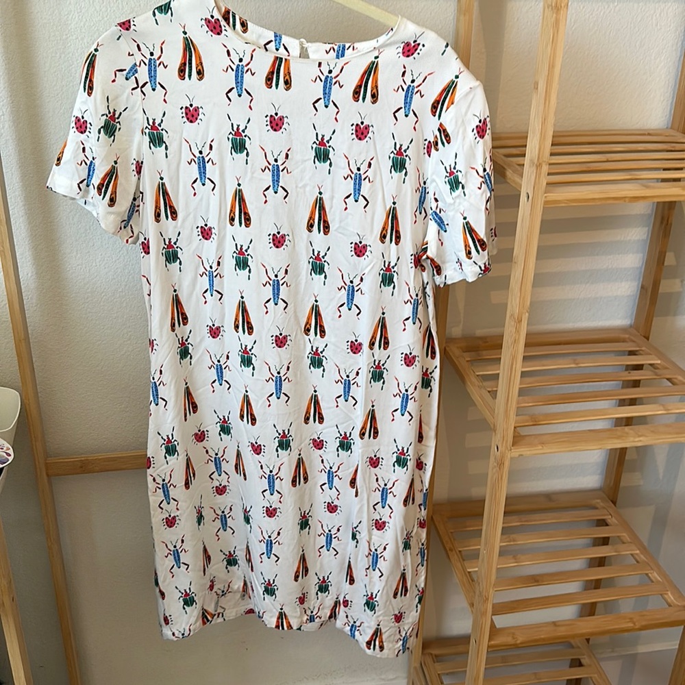 Corey Lynn calter Anthropologie bug dress
